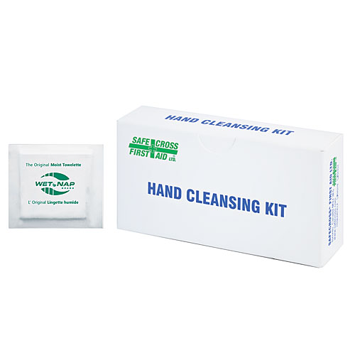 hand-cleansing-moist-towelettes-12s